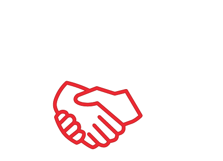 +800 clients